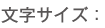 文字サイズ:
